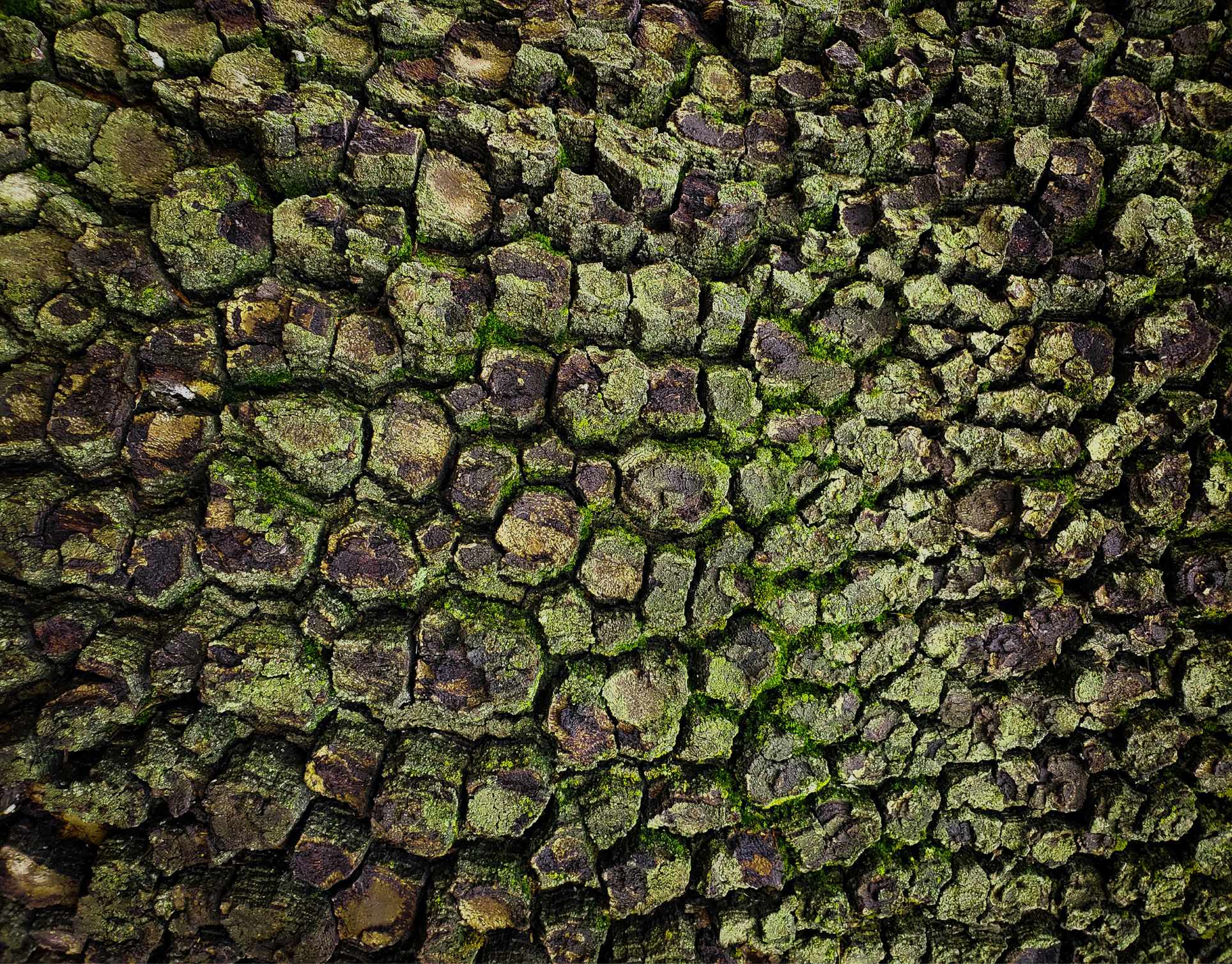 Textura natural del santuario Soulspring