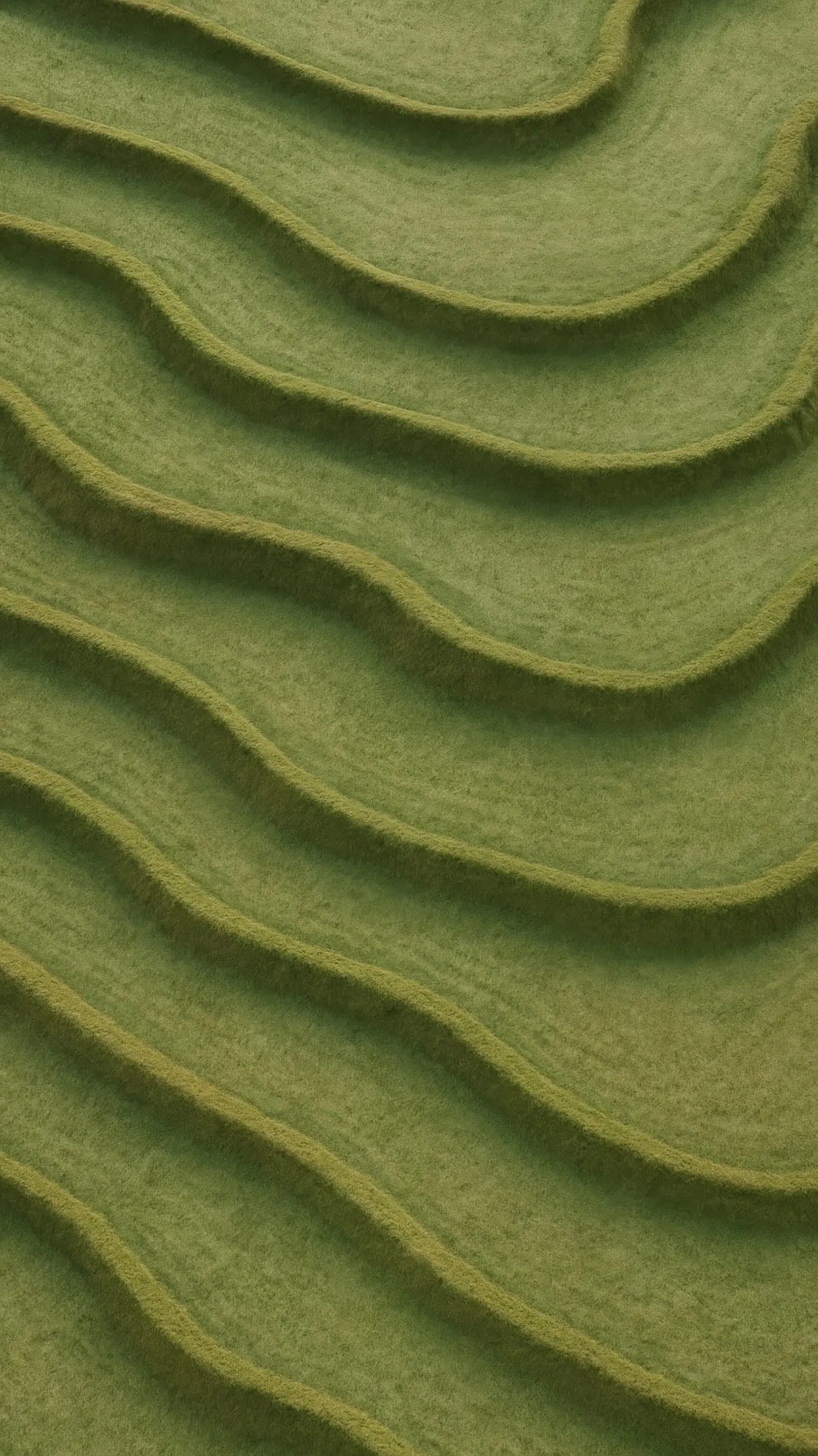 Terrazas de cultivo cubiertas de vegetación