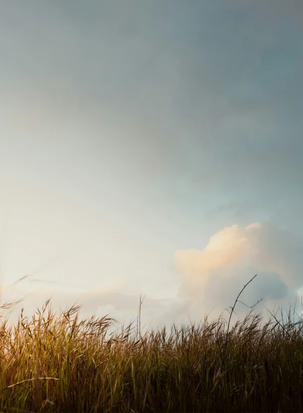Stress & Burnout Recovery